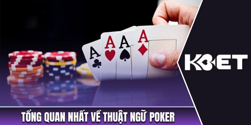 Giới thiệu tổng quan nhất về thuật ngữ Poker 